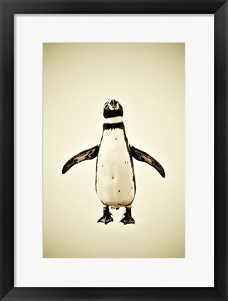 Framed Penguin Print