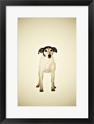 Framed Dog Print