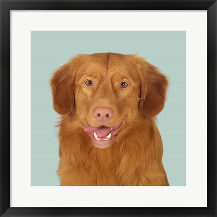 Framed Hannibal the Toller Print