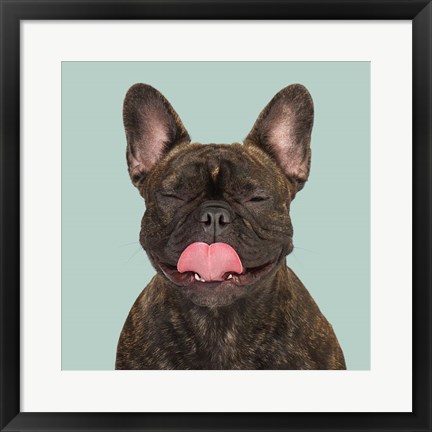 Framed Gaja the French Bulldog Print