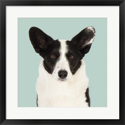 Framed Ludvig the Welsh Corgi Print