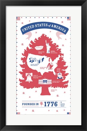 Framed USA Print