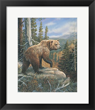 Framed Grizzlies Domain 2 Print