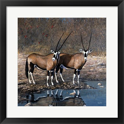 Framed At The Waterhole Print