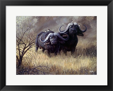 Framed Dugga Boys Caped Buffalo Print