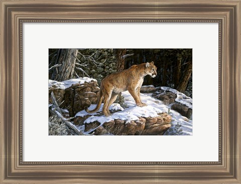 Framed High Country Lookout Print