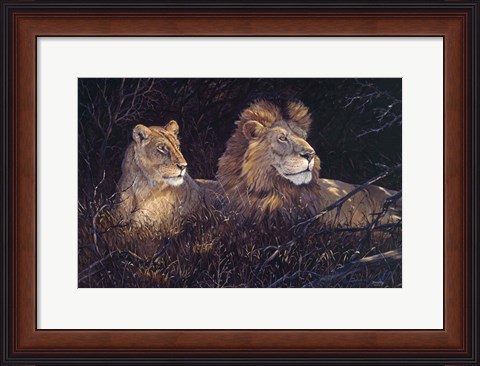 Framed In Deep Shadows Print