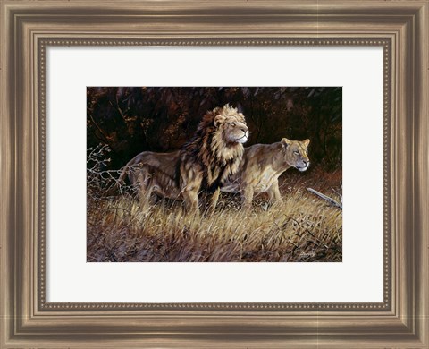 Framed Lions Print