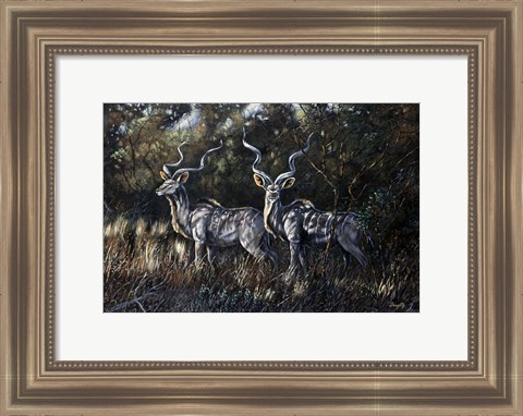 Framed Shadows Print