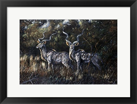 Framed Shadows Print