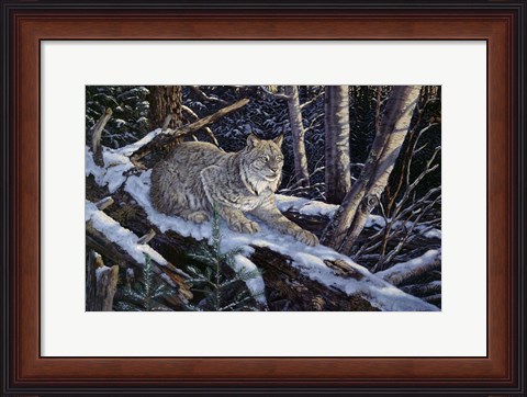 Framed Snow Moon Lynx Print