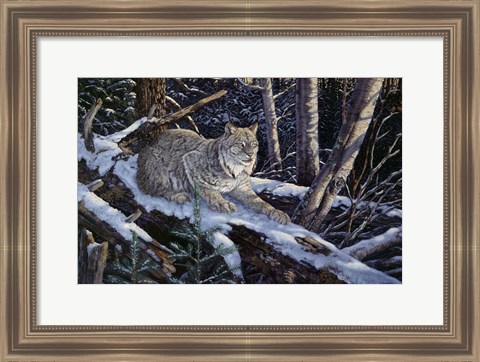 Framed Snow Moon Lynx Print