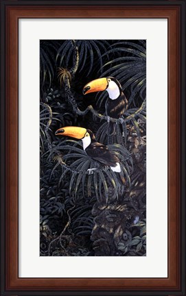 Framed Toucans Print