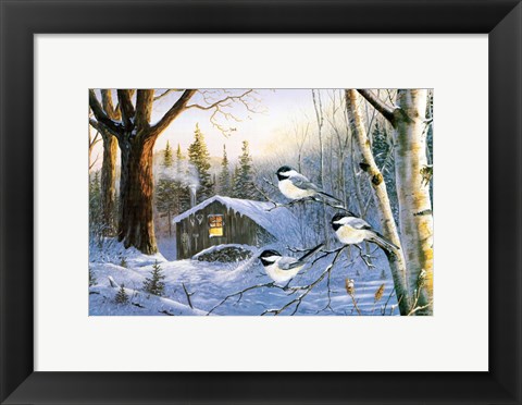 Framed Evening Shadows Print