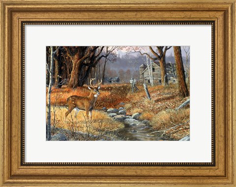 Framed Forgotten Valley Print