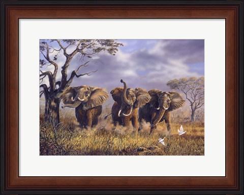 Framed On African Winds Print