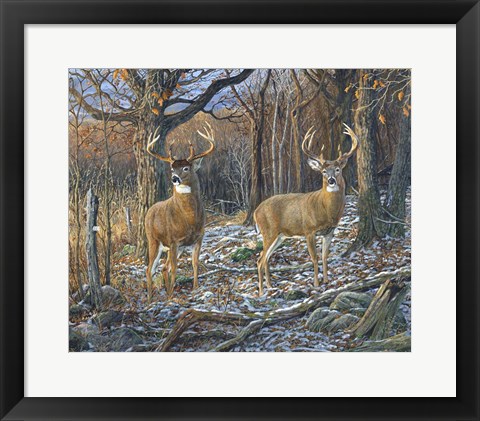 Framed Pair Of Eights Print