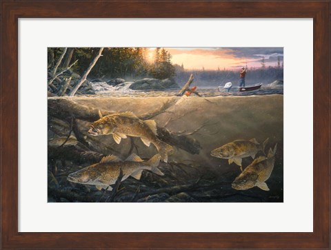 Framed Walleye In The Wood Print