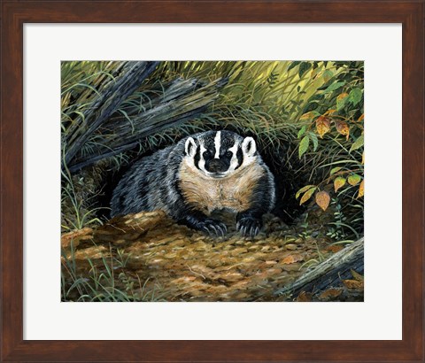 Framed Wisconsin Badger Print