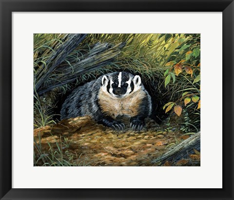 Framed Wisconsin Badger Print