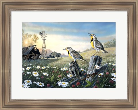 Framed Meadow Outpost Print