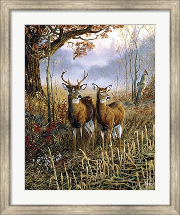 Framed Country Treasures Print