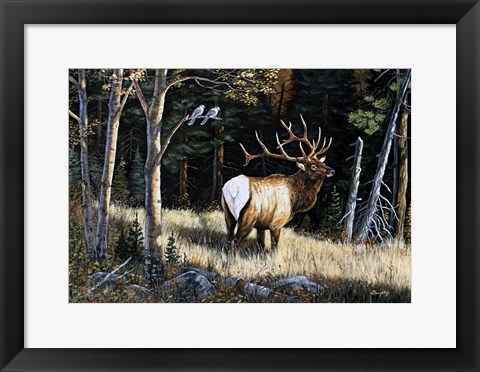 Framed Elk Print