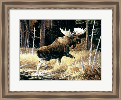 Framed Moose Print