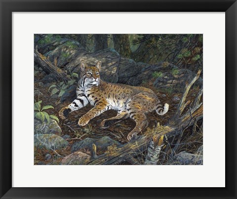 Framed Eyes Of The Deep Woods Print