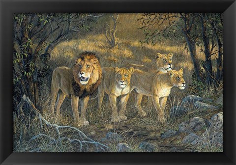 Framed Pride Of Africa Print