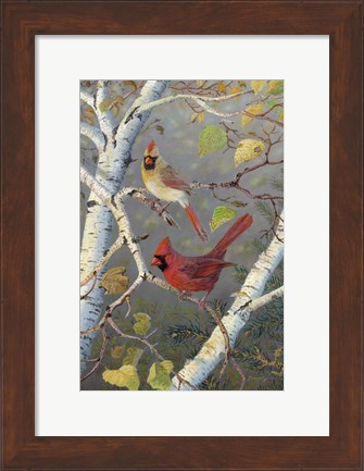 Framed Cardinals In Birch Print