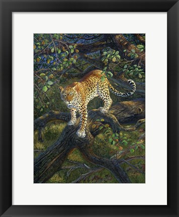 Framed African Princess Print