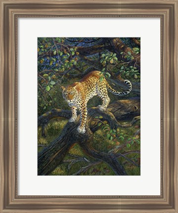 Framed African Princess Print