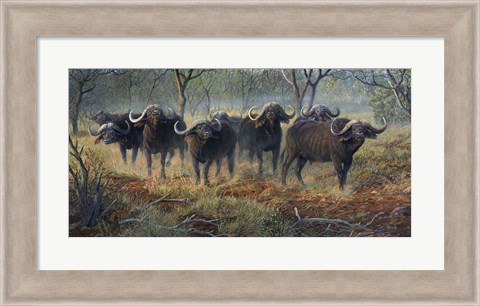 Framed Cape Buffalo Print