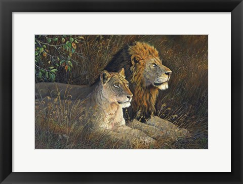 Framed Lions Domain Print