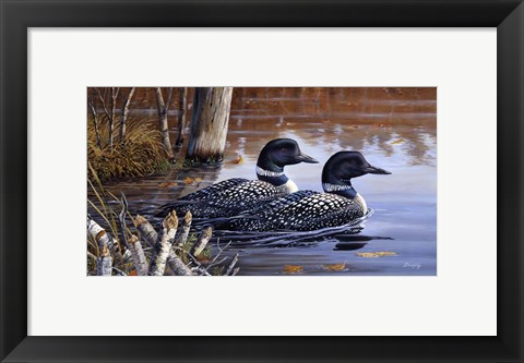 Framed Beaver Pond Loons Print