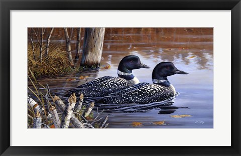 Framed Beaver Pond Loons Print