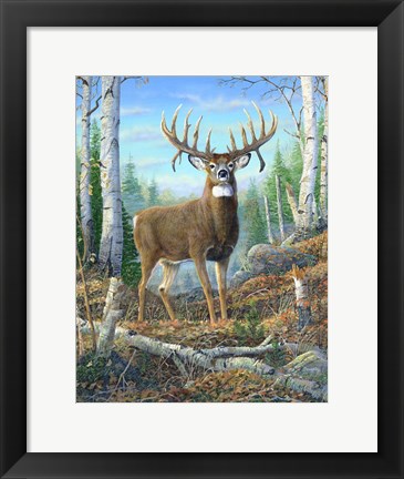 Framed Dream Buck Print