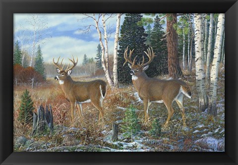 Framed Tall Timber Bucks Print