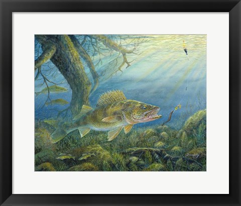 Framed Walleye Print