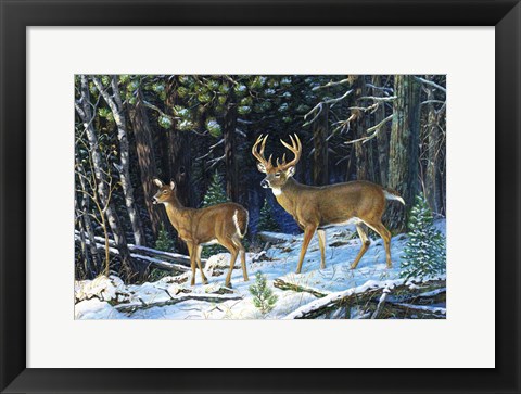 Framed Deep Woods Echoes Print