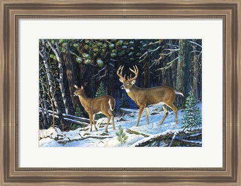 Framed Deep Woods Echoes Print