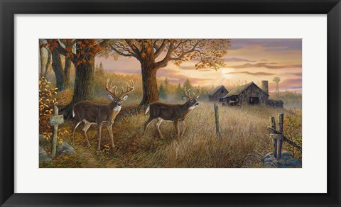 Framed Unknown Sanctuary Print