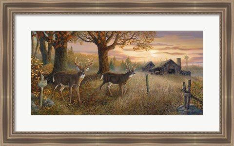 Framed Unknown Sanctuary Print