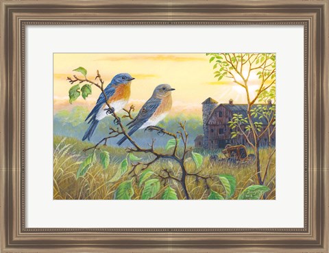 Framed True Blue Bluebird Print