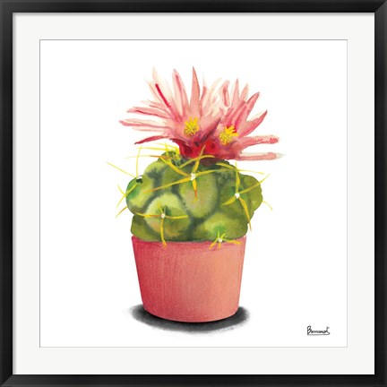 Framed Cactus Flowers I Print