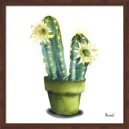 Framed Cactus Flowers II Print