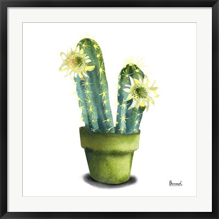 Framed Cactus Flowers II Print