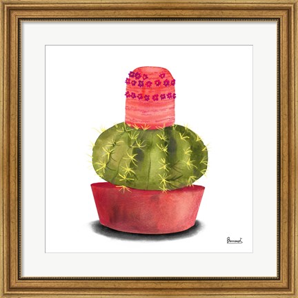 Framed Cactus Flowers IV Print