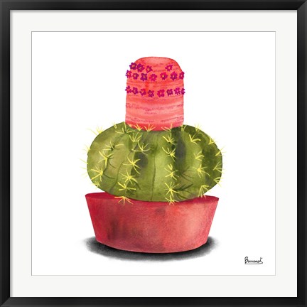 Framed Cactus Flowers IV Print